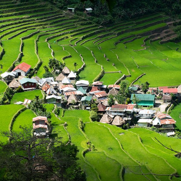 Batad village surround by thousands years old rice terraces of Philippines